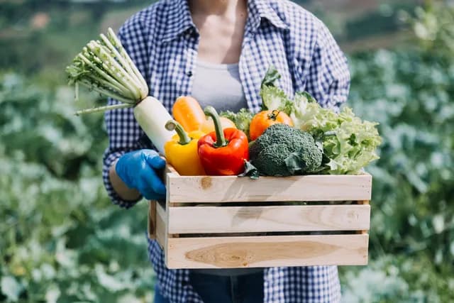 Home gardening category - Browse life hacks and tips