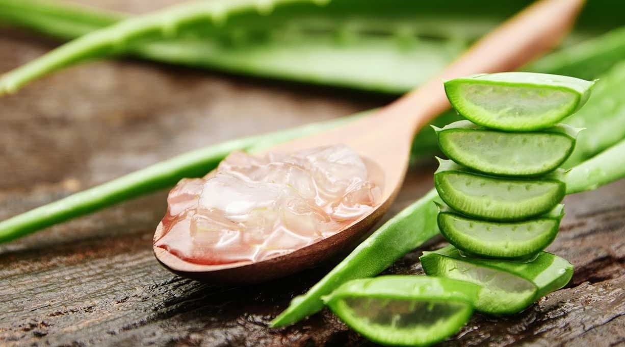 DIY Natural Plant Rooting Hormone: Clone Any Plant with Aloe Vera! - Home gardening life hack with step-by-step guide